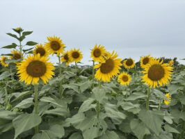 【W的視点】〝訳アリ物件〟特集20。